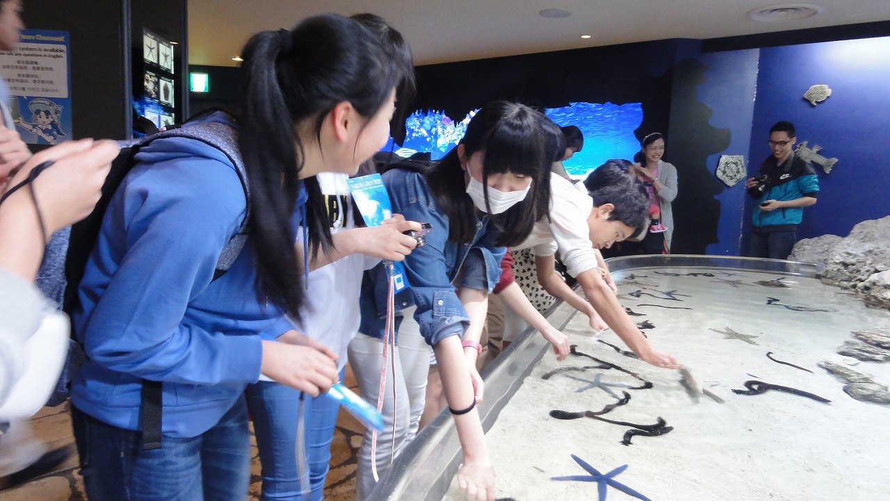 美ら海水族館の様子です。