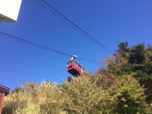 雲仙仁田峠に上りました。