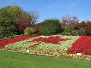 カナダの国旗の花壇