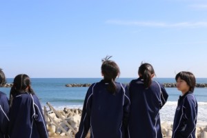 防潮堤からの眺め