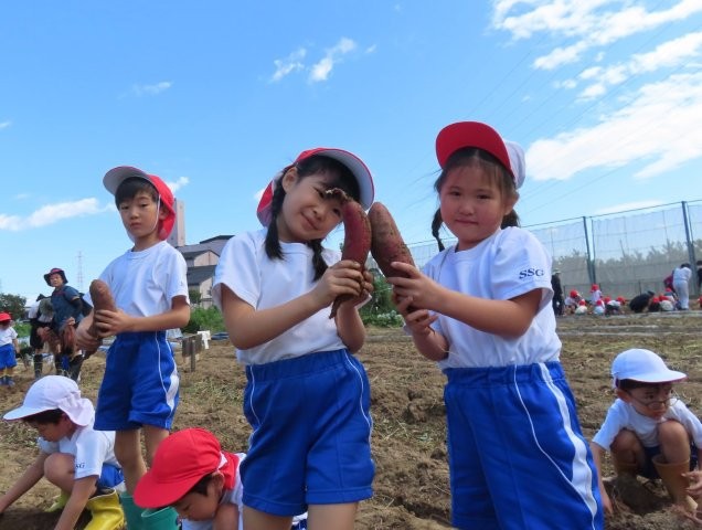 サツマイモ掘りに行ってきました！